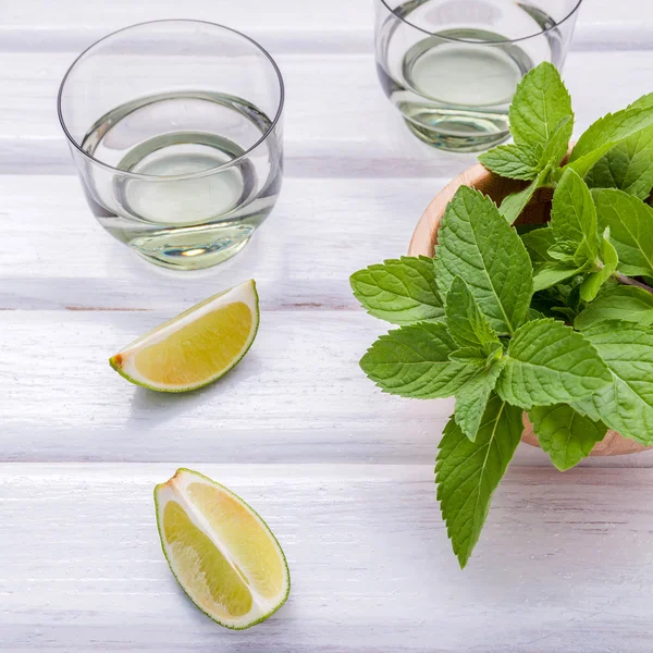 Składniki na Dokonywanie Mojito mint liści, limonki, cytryny i wódka — Zdjęcie stockowe