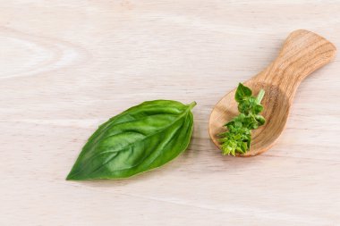 Taze organik tatlı fesleğen yaprakları ve ahşap kaşıkla çiçek 