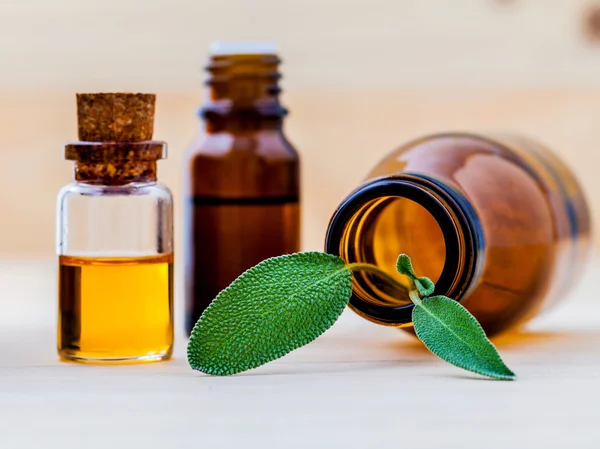 Bottle of essential oil with  fresh sage leaves shallow depth of — Stock Photo, Image