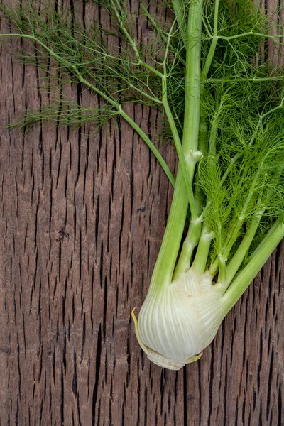 Fresh organic fennel bulbs for culinary purposes on wooden backg — Stock Photo, Image