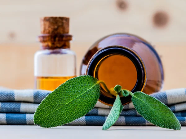 Bottle of essential oil with  fresh sage leaves shallow depth of — Stock Photo, Image