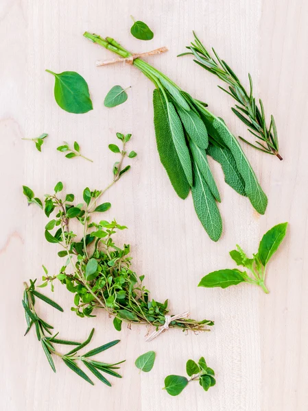 Různé čerstvé byliny ze zahrady Svatá bazalka, bazalka, Rosemary — Stock fotografie