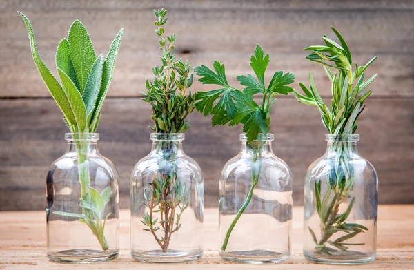 Üveg illóolajat a gyógynövények rozmaring, zsálya, petrezselyem és t — Stock Fotó