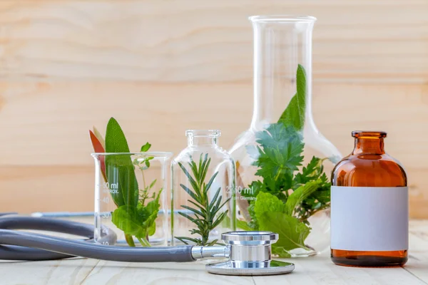 Εναλλακτική ιδέα για την υγειονομική περίθαλψη. Φρέσκα βότανα πράσινη μέντα, ροδομάρ — Φωτογραφία Αρχείου