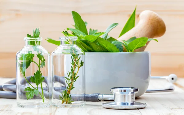 Concepto alternativo de atención médica. Hierbas frescas menta verde, romero — Foto de Stock