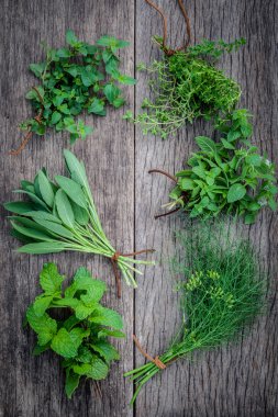 Bahçe yeşil nane çeşitli aromatik otlar ve baharatlar, fenne