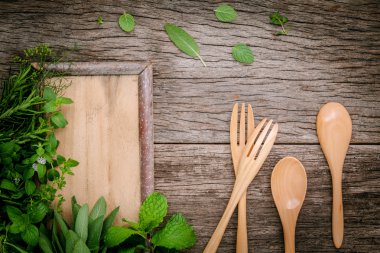 Bahçe yeşil nane çeşitli aromatik otlar ve baharatlar, fenne
