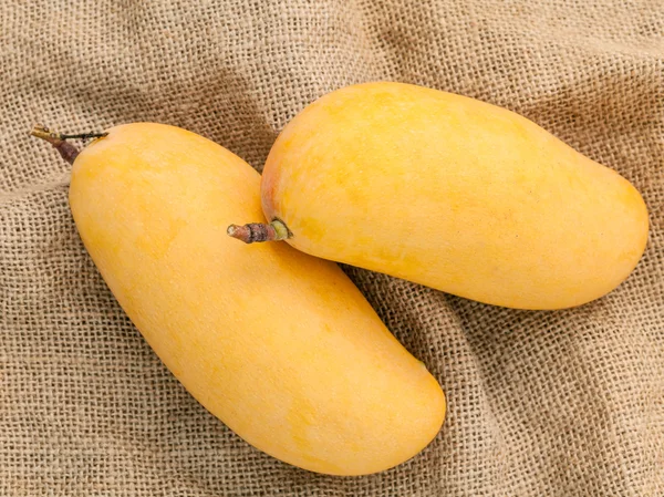 Friss szerves hagyományos thai mangó magas vitamin és ásványi anyag — Stock Fotó