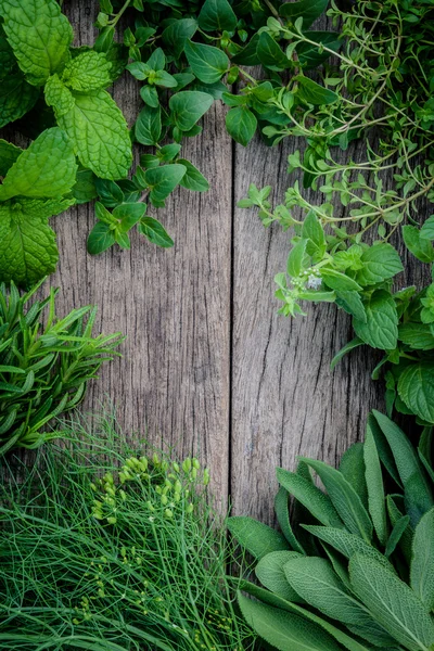 Various aromatic herbs and spices from garden green mint, fenne — стоковое фото