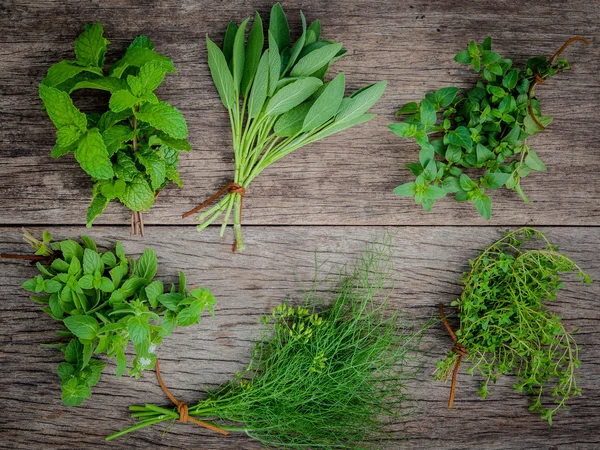 Verschiedene aromatische Kräuter und Gewürze aus dem Garten grüne Minze, Fenchel — Stockfoto