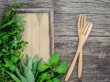 Aromatik otlar ve baharatlar yeşil nane, rezene, kekik, adaçayı, lem