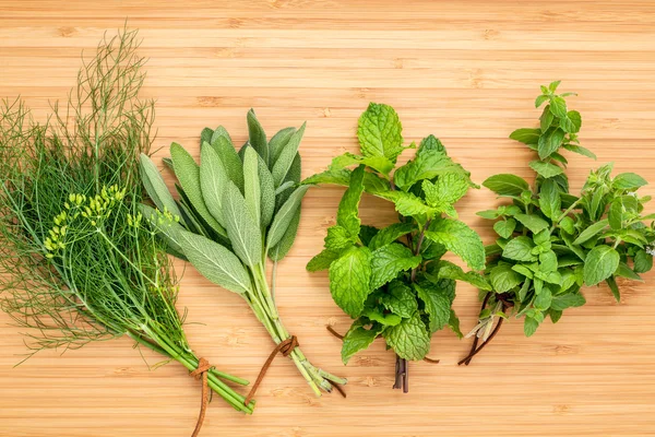 Různé aromatické byliny a koření z zahradní zelené máty, Fenne — Stock fotografie