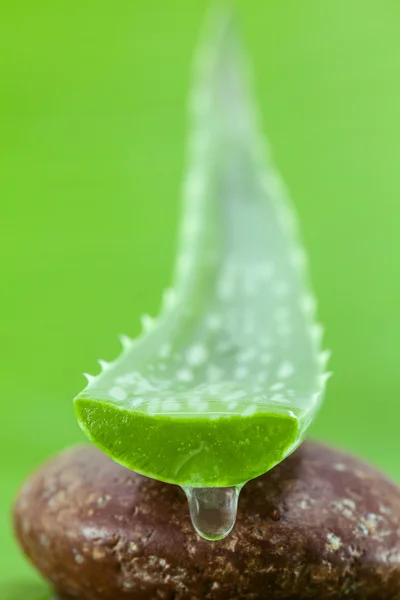 Alternativní péče o pokožku Aloe, kapka gelu a Aloe Vera na lázeňském — Stock fotografie