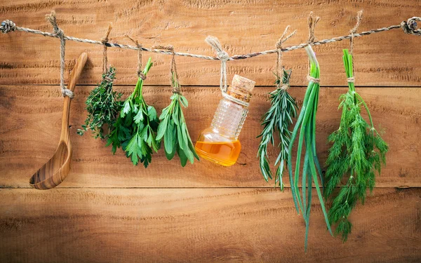 Assorted herb bundles hanging parsley ,sage,rosemary, dill,sprin — Stock Photo, Image