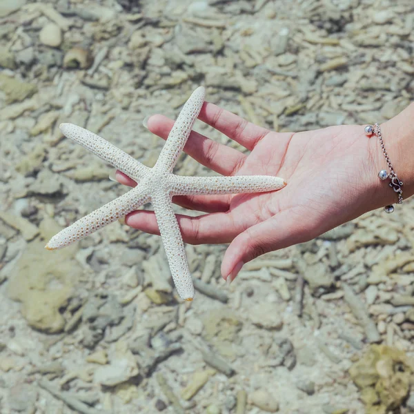 Gros plan de Star fish dans la main d'une fille à la plage tropicale. Voyage — Photo