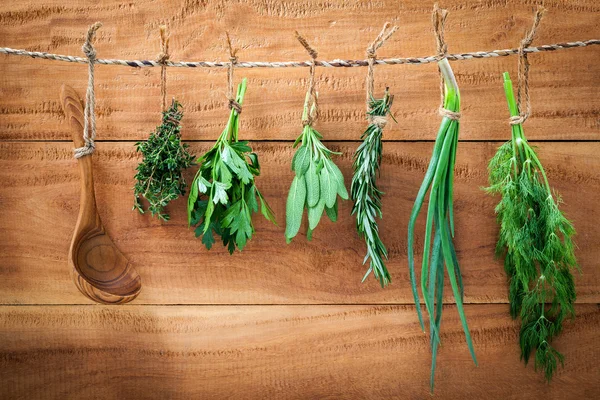 Blandade ört buntar hängande persilja, salvia, rosmarin, dill, skarpsill — Stockfoto