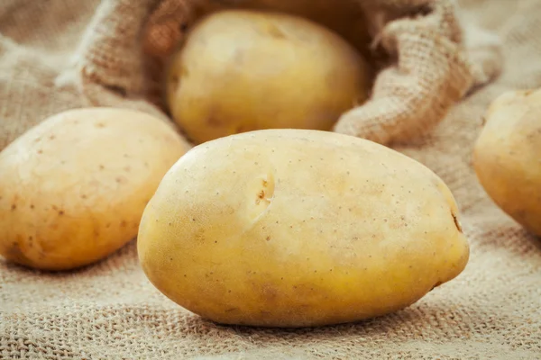 Closeup fresh organic potatoes on hemp sack background. Fresh ha — Stock Photo, Image