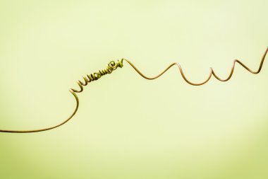 Açık yeşil arka plana bağlı dalında, yakın çekim. Bağlı