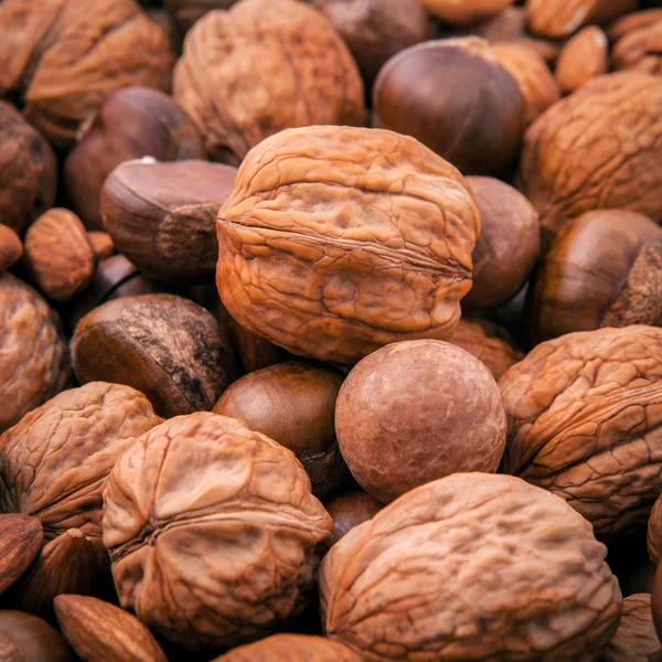 Différents types de noix dans les coquilles, noix de cajou, amande, noix, noisette — Photo