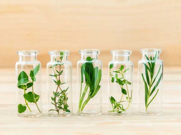 La botella de aceite esencial con hierbas romero, orégano, salvia , — Foto de Stock