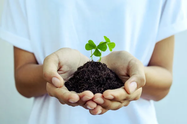 Het meisje houdt klaverblad. -Concept voorliefde, hoop en goodn — Stockfoto