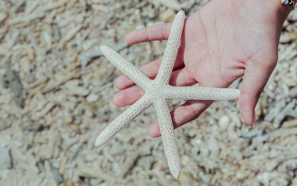 Closeup de peixe estrela na mão da menina na praia tropical. Viagem — Fotografia de Stock