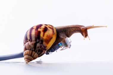Salyangoz yavaş Internet gerekçesini için rj45 Bağlayıcısı sembolik fotoğraf ile