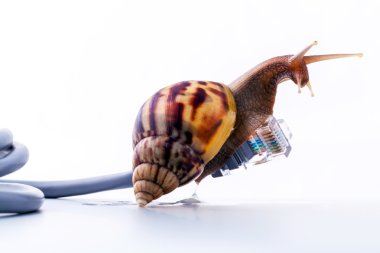Salyangoz yavaş Internet gerekçesini için rj45 Bağlayıcısı sembolik fotoğraf ile
