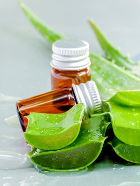 Cilt bakımı için doğal Kaplıcalar malzemeler. Doğal Kaplıcalar Ingredien