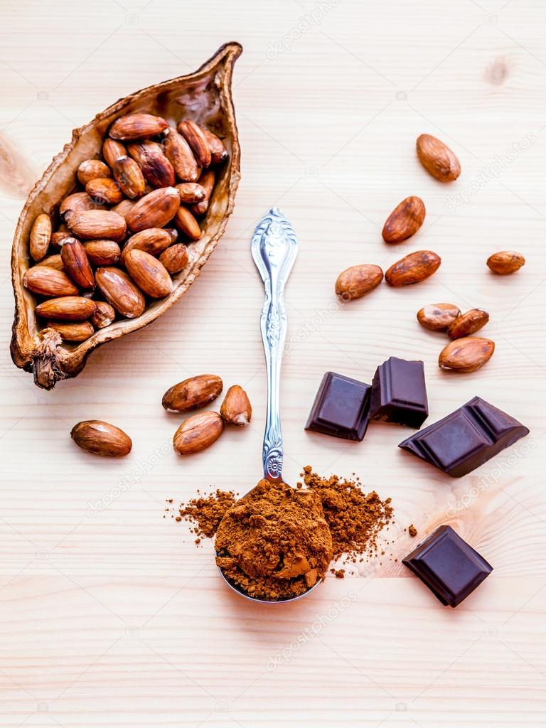 Brown chocolate powder in spoon , Roasted cocoa beans and dark c