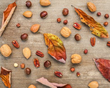 Fındık ceviz badem, fındık, badem kerne çeşitleri