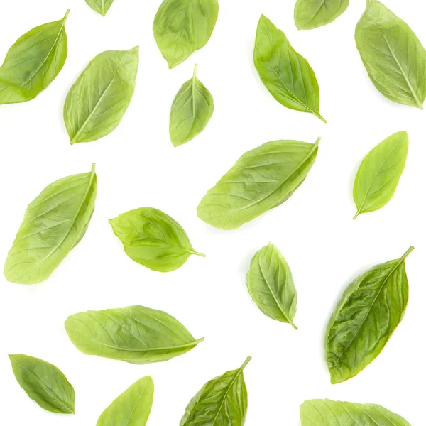 Fresh sweet basil leaves isolated on white background. Sweet bas — Stock Photo, Image