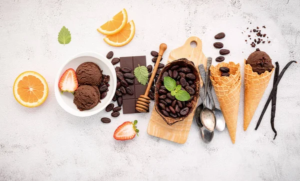 Csokoládé Fagylalt Ízek Tálban Étcsokoládé Kakaó Nibs Telepítve Fehér Háttér — Stock Fotó