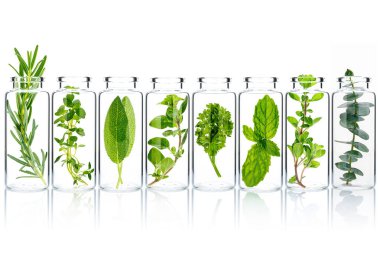 Bir şişe yağlı majaram, okaliptüs, biberiye, kekik, adaçayı, maydanoz, kekik ve beyaz arka planda naneli izolasyon..