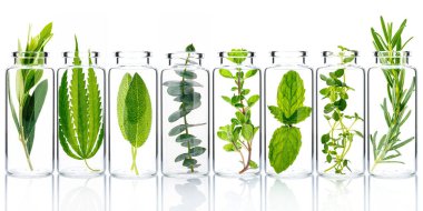 Bottle of essential oil with fresh herbs isolate on white background.