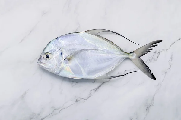 Pesce Fresco Longfin Trevally Istituito Sfondo Tavolo Cucina Marmo Bianco — Foto Stock
