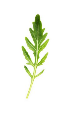 Arugula beyaz arka planda tek başına bırakır. Beyaz arka plan görünümünde taze yaban roketi yaprakları.