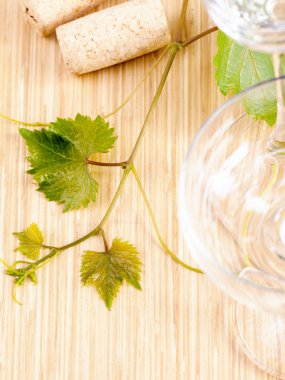 Üzüm ve şarap cork tahtaya şarap şişesi.