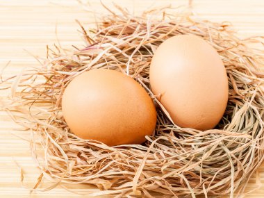 taze saman Nest kahverengi yumurta .