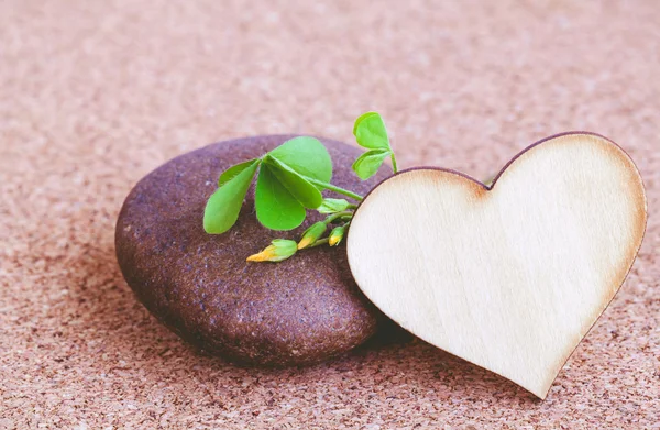 Closeup clover leaf and stone ,wooden heart on cork background. — Stock Photo, Image