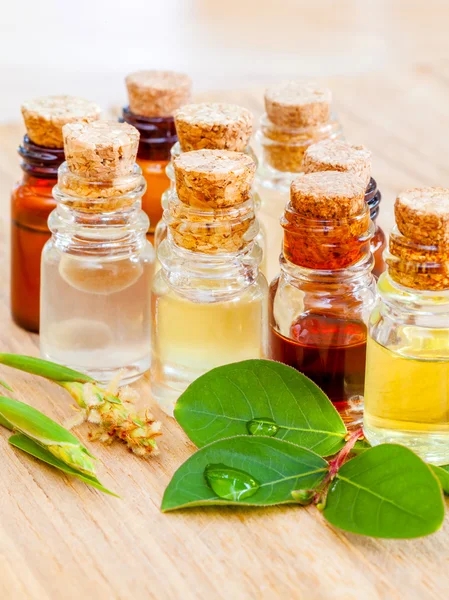 Lázně esenciální olej - přírodní lázně ingredience pro aroma aromather — Stock fotografie