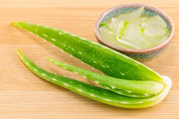 Aloevera - Spas naturais Ingredientes para cuidados com a pele . — Fotografia de Stock