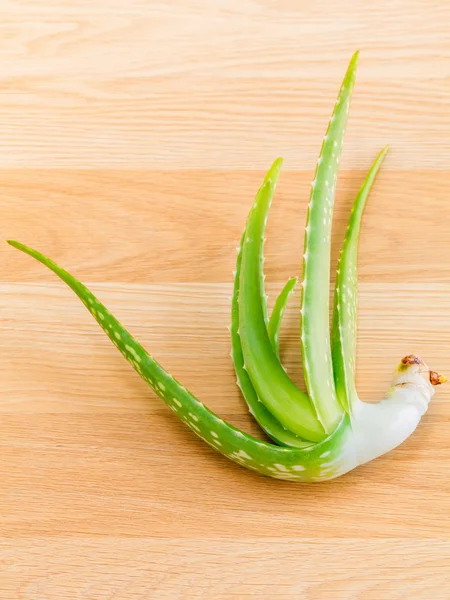 Aloevera - Natural Spas Ingredientes para el cuidado de la piel . —  Fotos de Stock