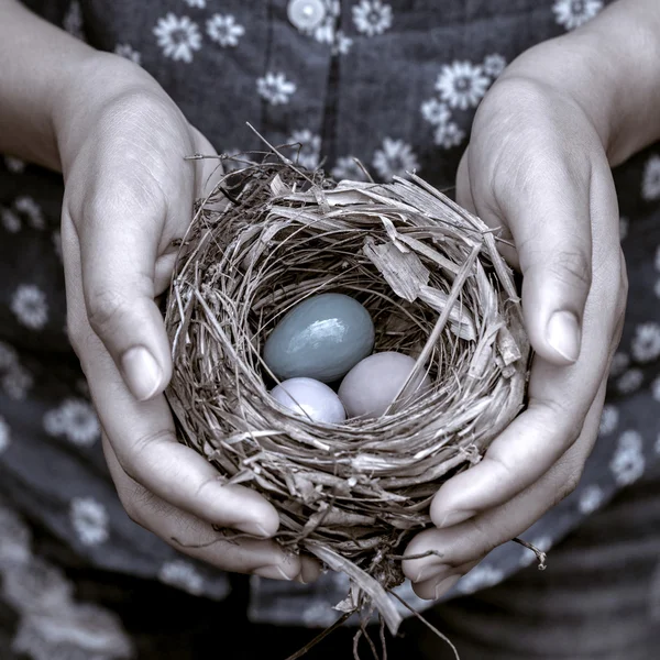 Nest with Colorful eggs in woman's hands. — Stock Photo, Image