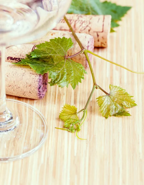 Wine bottle with vine and wine cork put on the board. — Stock Photo, Image