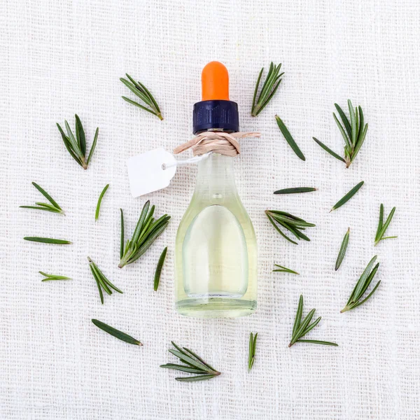 Natural Spa Ingredients  rosemary essential oil for aromatherapy — Stock Photo, Image
