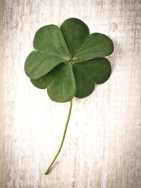 Closeup clover leaf op houten hart achtergrond. — Stockfoto