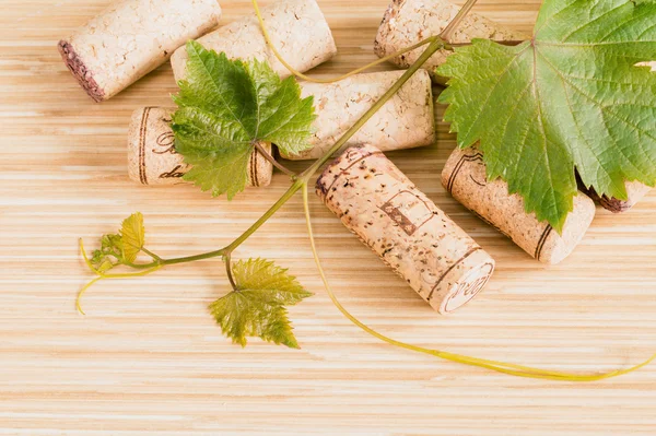Wine bottle with vine and wine cork put on the board. — Stock Photo, Image