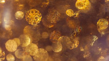 Altın soyut arka plan duvar kağıdı .