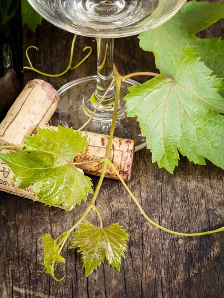 Wine bottle with vine and wine cork put on the board. — Stock Photo, Image